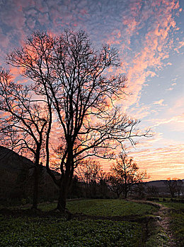 cau bach thu kep
