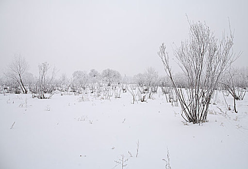 kqxs du doan