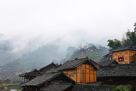 bạch thu lo de