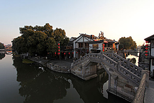 bạch thủ lô miền bắc
