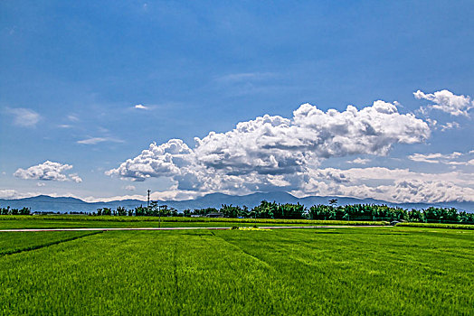 xo so quang ninh
