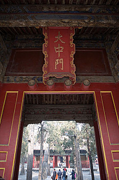 soi cau bach rong kim