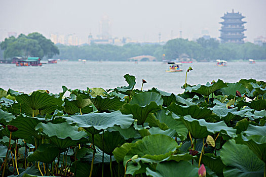du doan xo so mien nam chinh xac 100