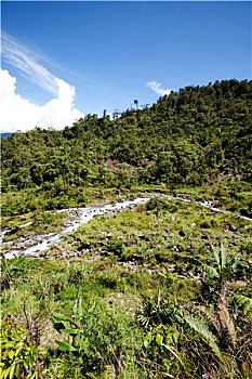 vua san ca ban ca san thuong