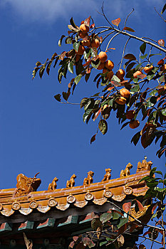 kqxs bạc liêu