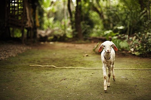 cầu lô kép miền bắc hôm nay