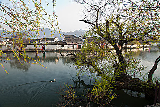 soi cầu lô 24 giờ
