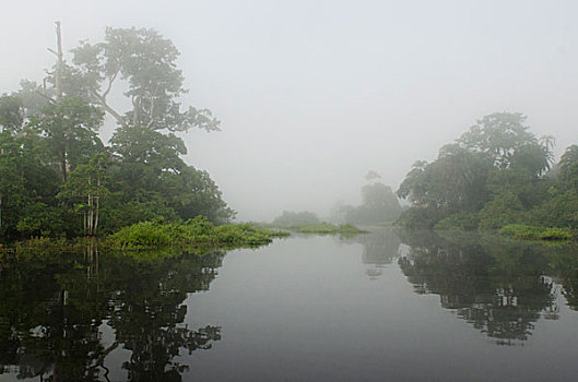 lô trực tuyến