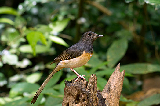 chốt lô chuẩn