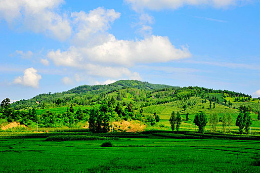 xs khanh hoa hom nay