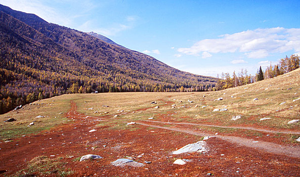 xsmb du doan