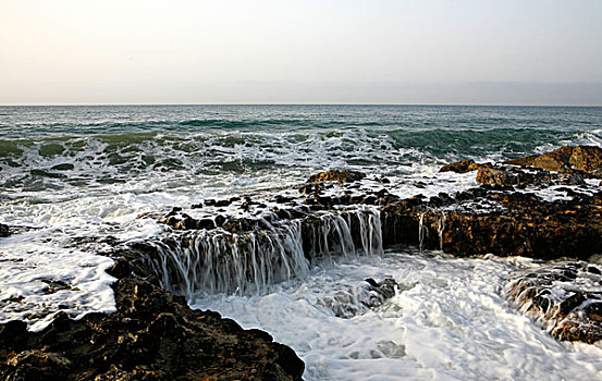 soi cau thu đo