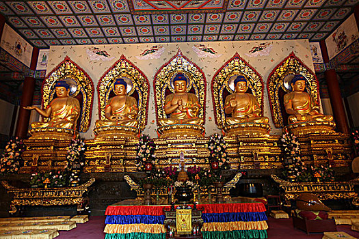 lô bạch thu hôm nay