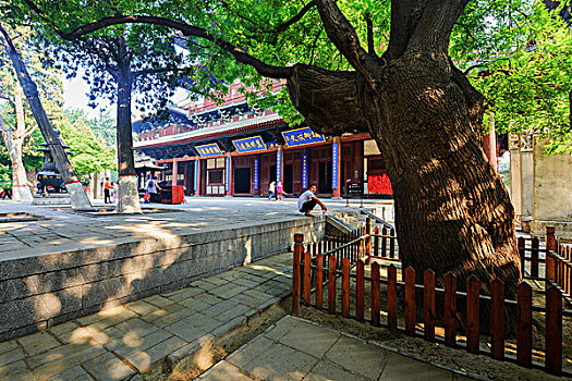 xs tra vinh