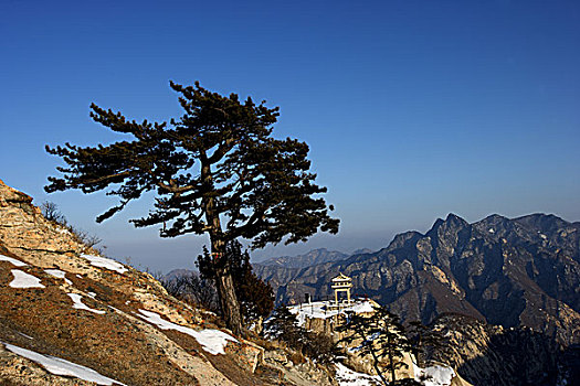 xsmb dự đoán