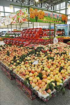 xổ số quảng bình