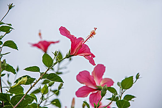 sổ kết quả