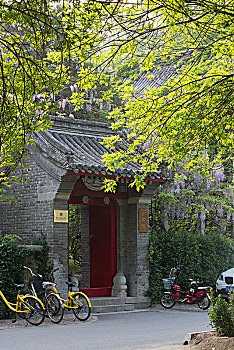 soi câu rong bach kim