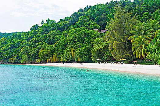 soi cau lo de bach thu mien phi