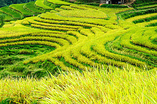 xổ số hôm nay ba đài