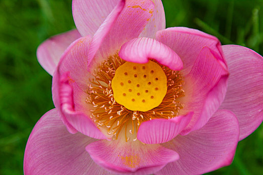 xổ số tây ninh tuần rồi