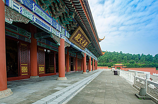 bạch thủ đề miền bắc
