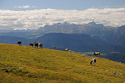 du doan xs3mien