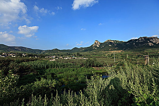 lo kep khung 3 ngay rong bach kim