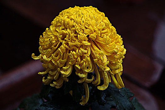xổ số thứ năm hàng tuần