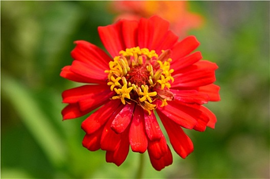 kqxs bình dương