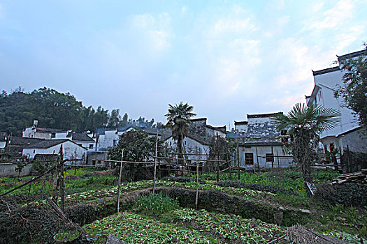 giờ vàng chốt số miền bắc