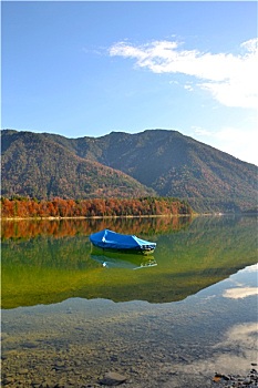 soi cau bach rong kim