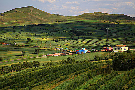 du doan de hom nay