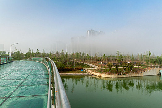 soi cau lo đe chuan