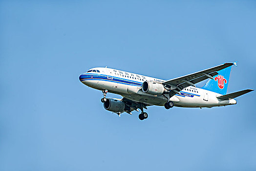 bạch thủ lô vip