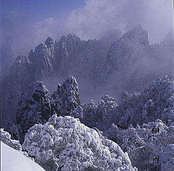bạch thủ đề hôm nay