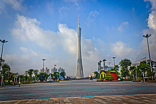 bạch thủ lô miền bắc