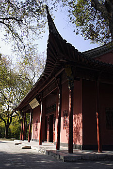 bạch thủ lô ngày mai