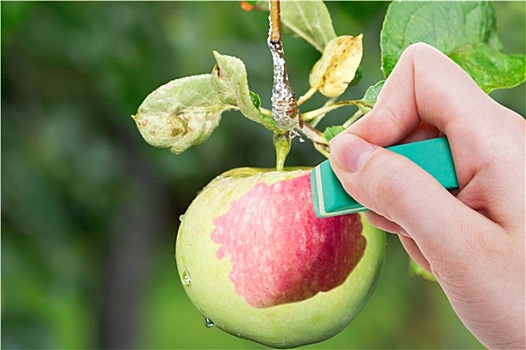 soi cầu lô dàn đề đẹp 10 số