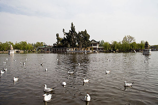 kèo nhà cái đức