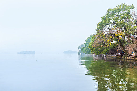 soi cầu bạch kim