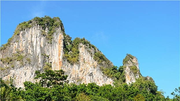 soi lo rong bach kim