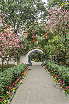 bạch thủ lô miền bắc