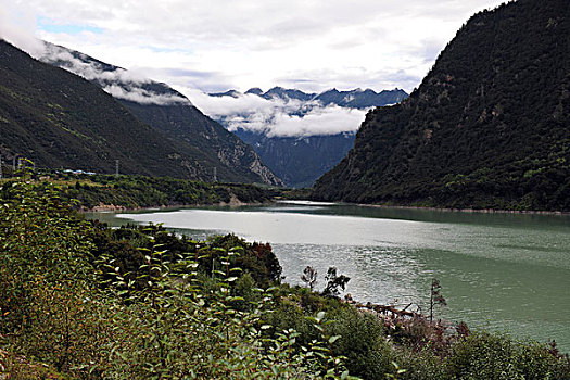 số đồng nai
