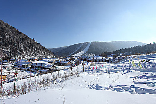 soi cau bach thu khung 5 ngay