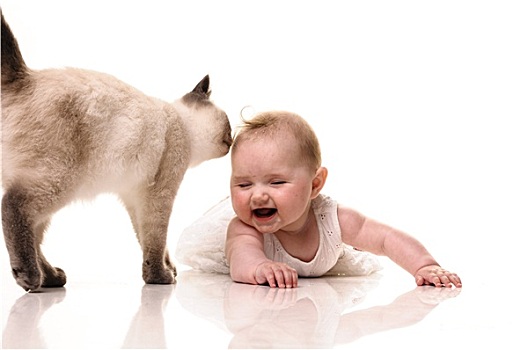 xổ số quảng ngãi