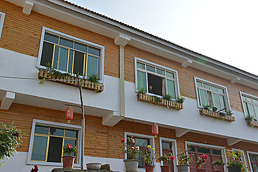 cầu bạch thủ 247