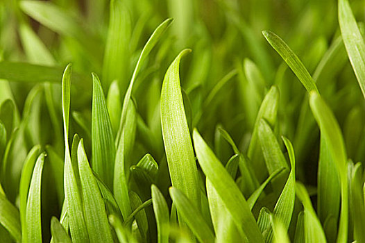 xổ số dự đoán miền nam