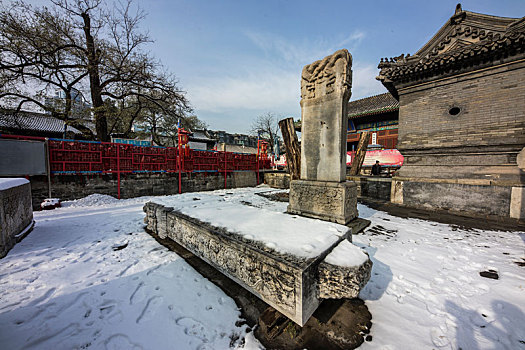 cau bach thu ngay mai