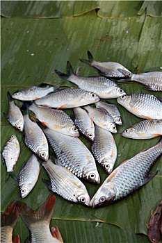 dự đoán xổ số 3